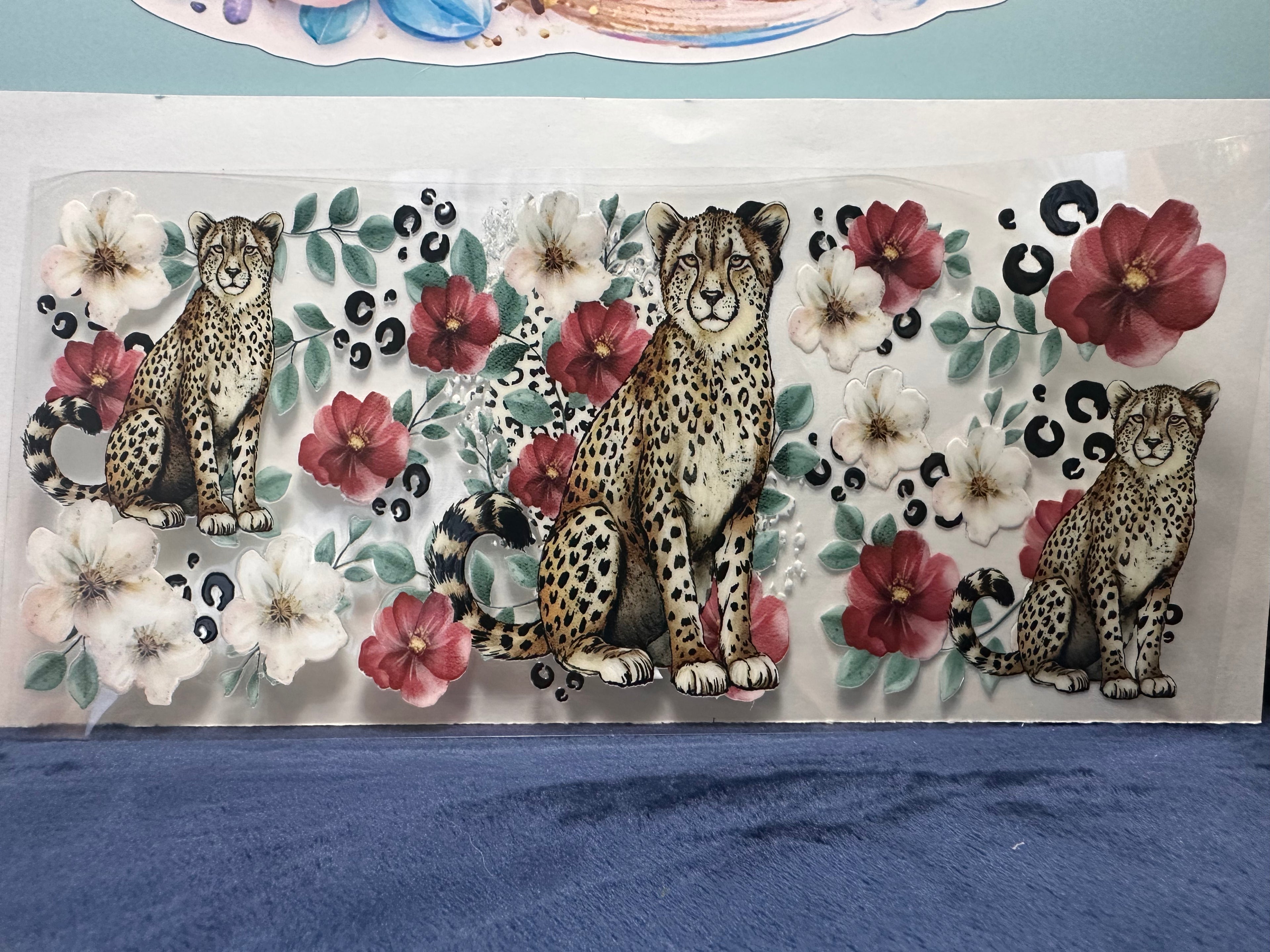 Cheeta