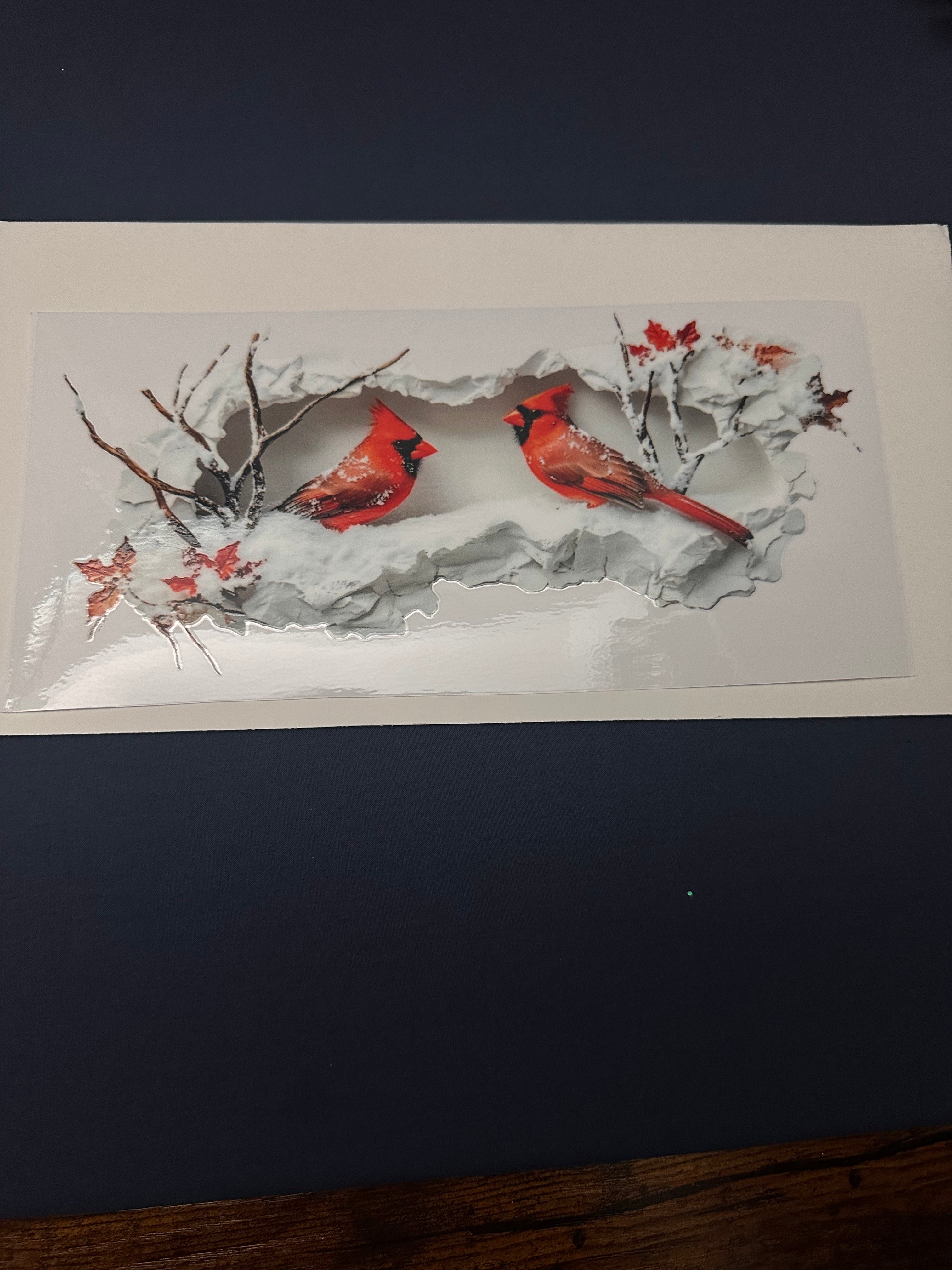 281  Red Cardinals 4