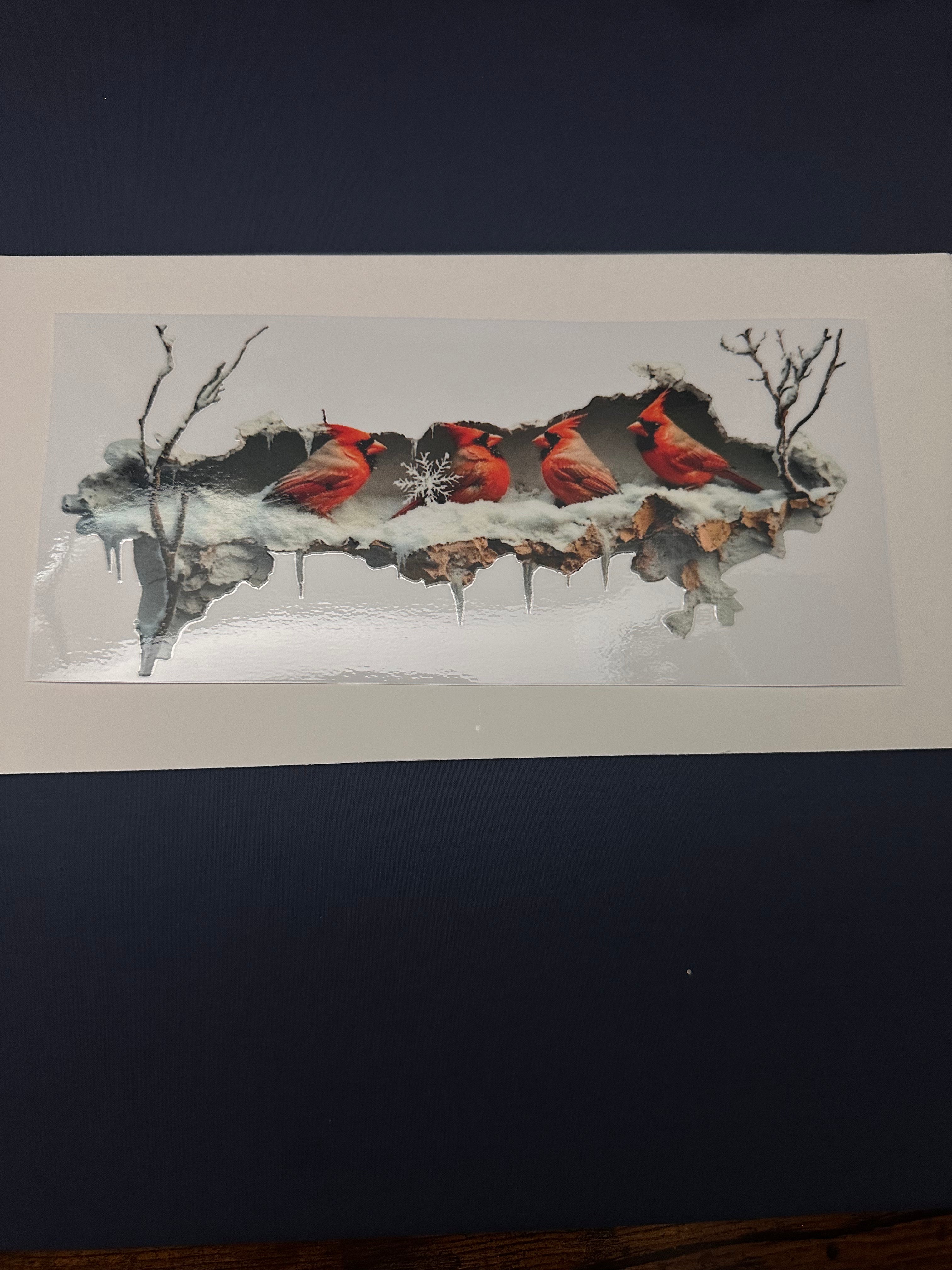 278  Red Cardinals 2