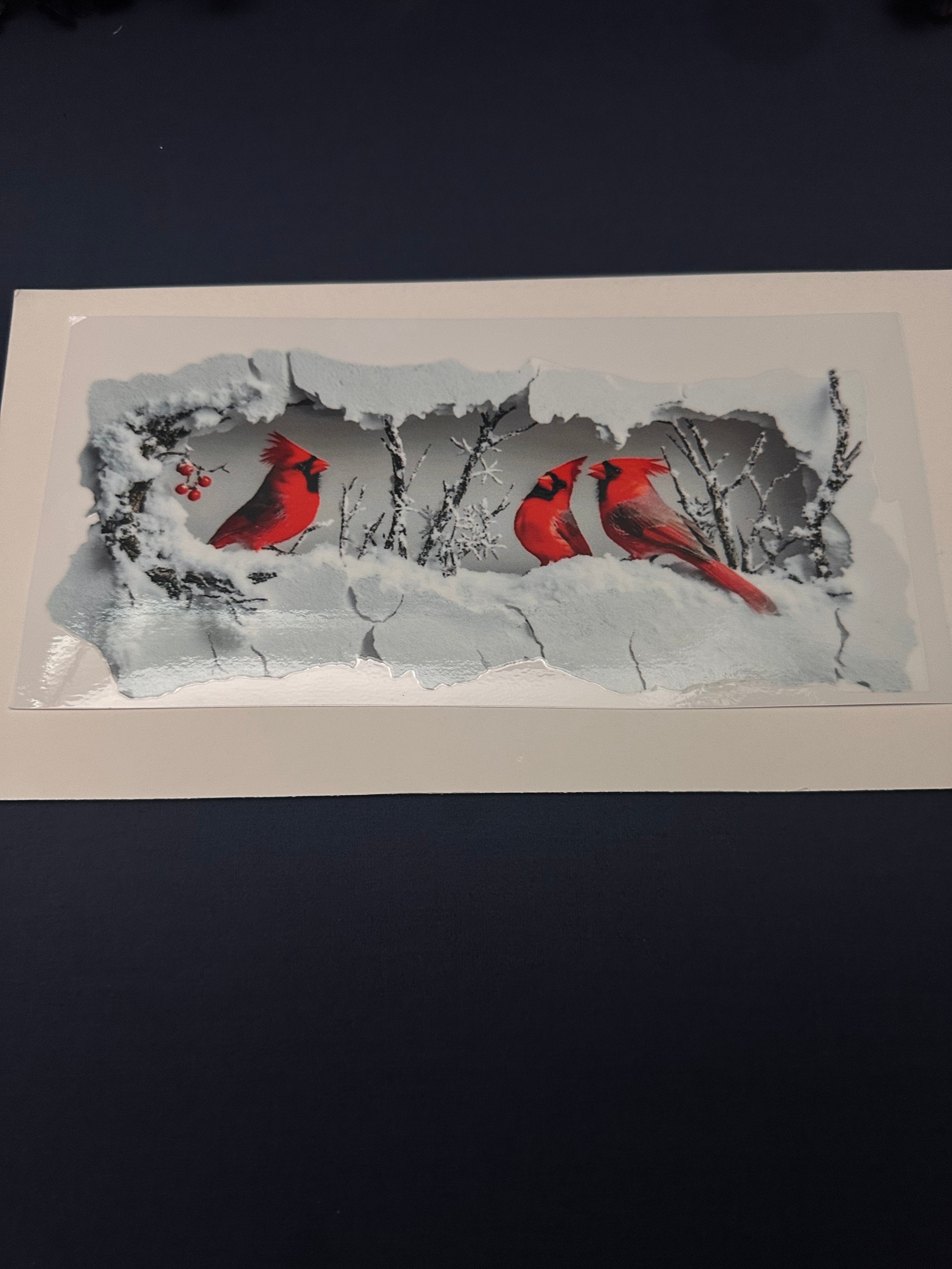 277  Red Cardinals 1