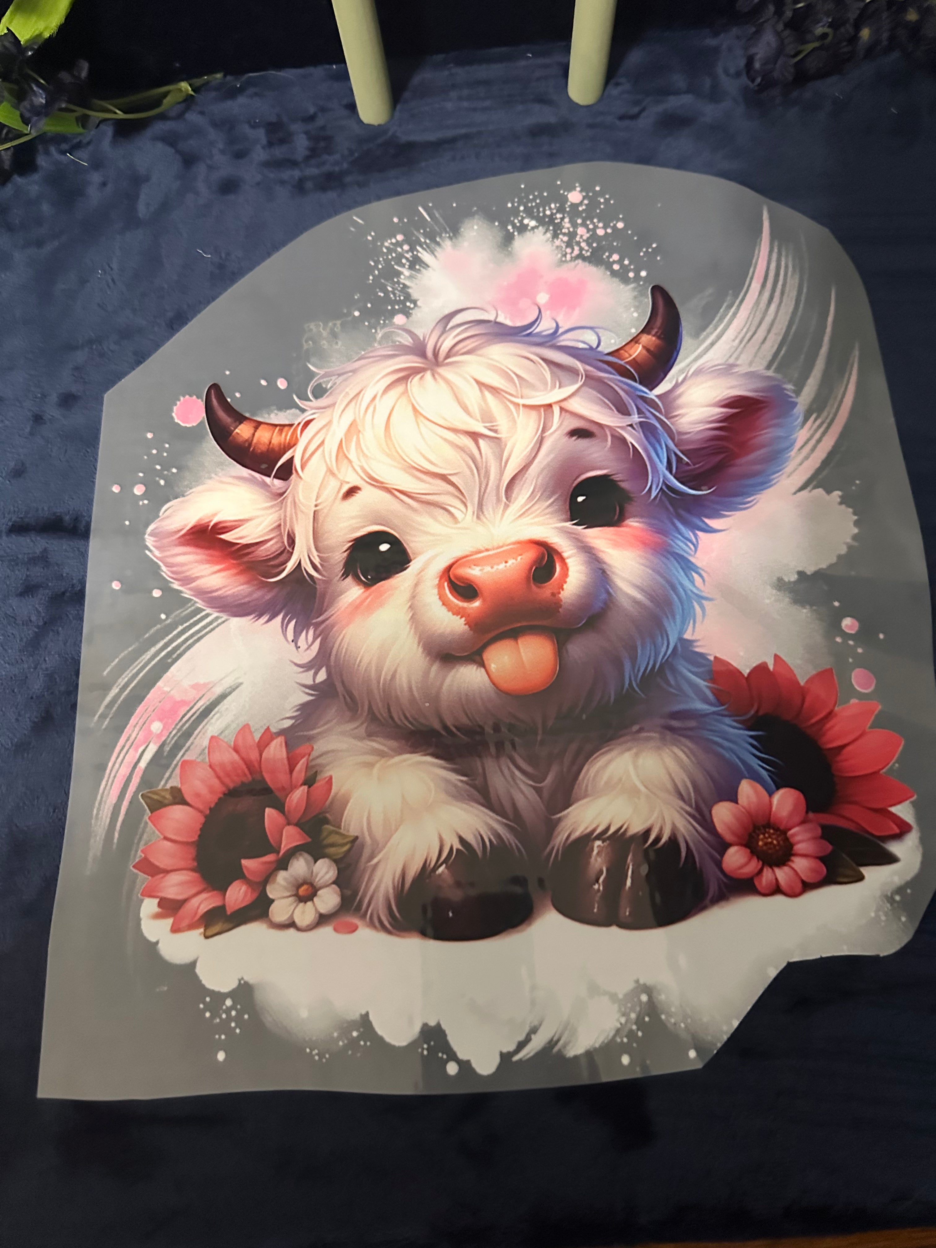 1005 White Highland Cow