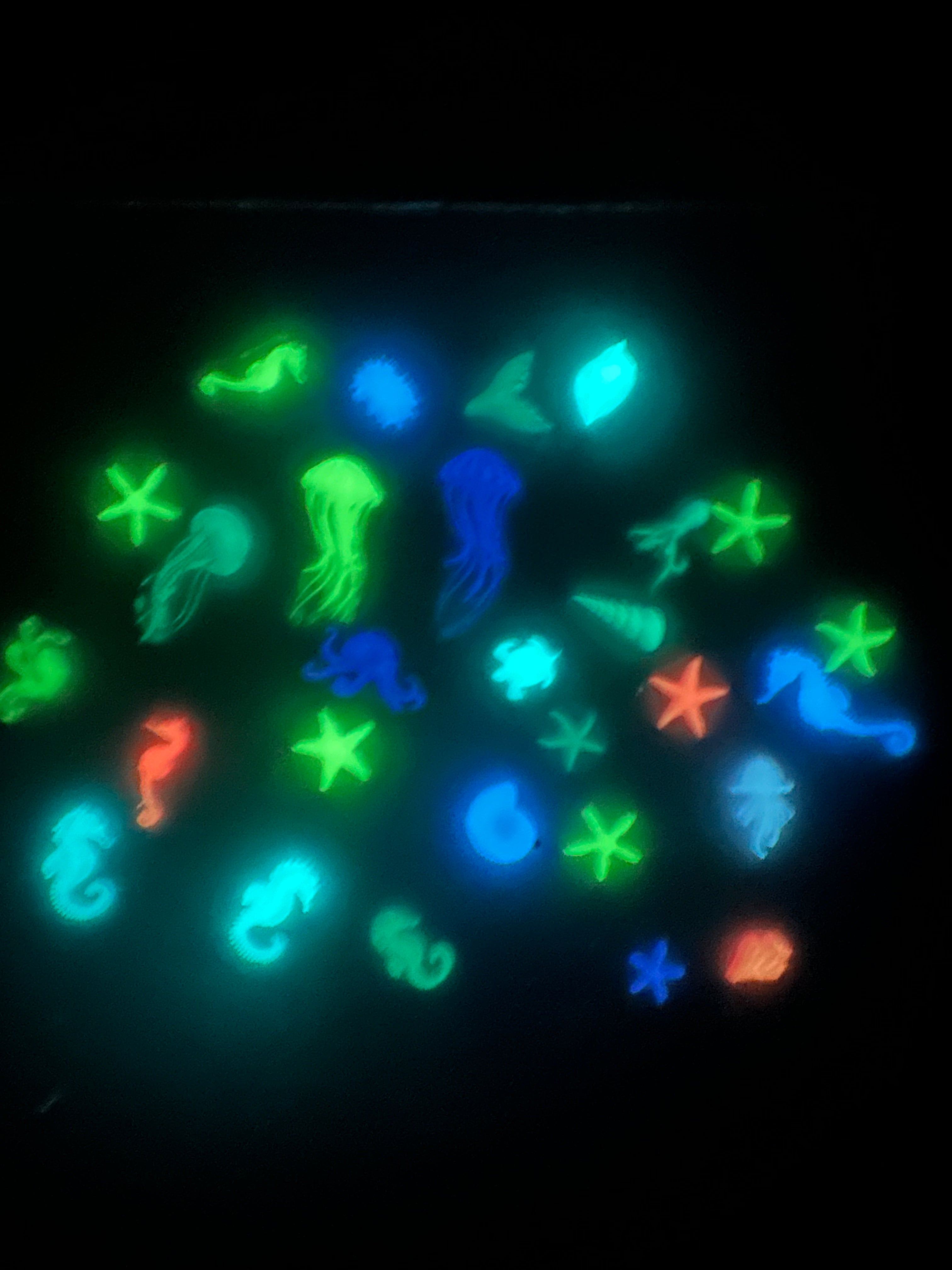 1 oz Bag Sea Creatures