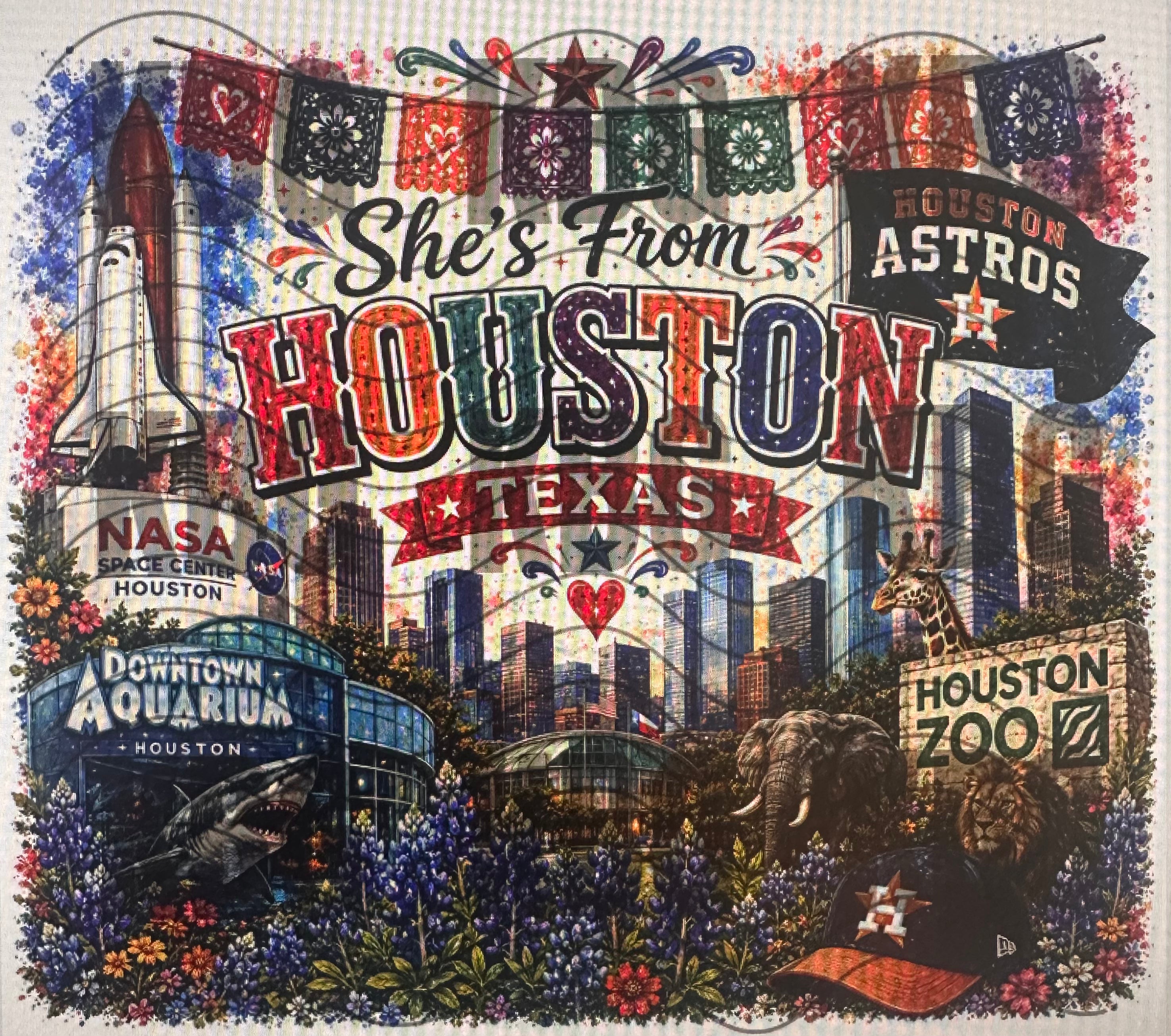 She's from TX - Houston